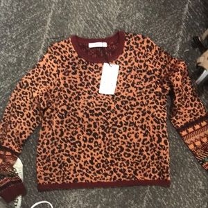 zara knitted collection sweater